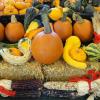 Mini straw, gourds, indian corn