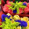 Cut Flowers