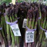 Fresh New Jersey Asparagus