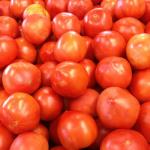 Jersey Tomatoes