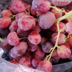 Crisp Red Seedless Grapes